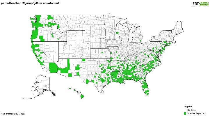 Figure 6 Distribution of parrot feather in the USjpg